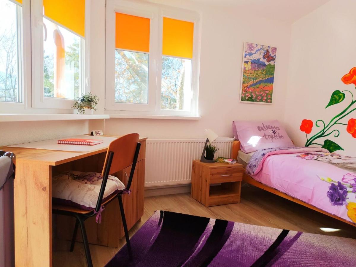 Apartament Дом За Гости Осогово Kiustendił Zewnętrze zdjęcie